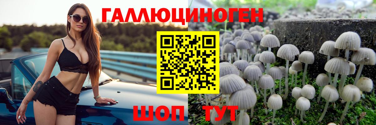 Галлюциногенные грибы Psilocybe Балаково